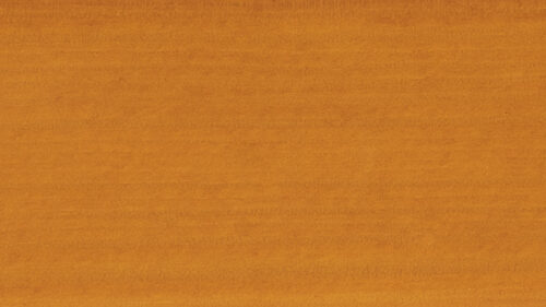 Old Pine 02