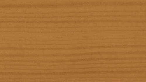 Stone Pine 01
