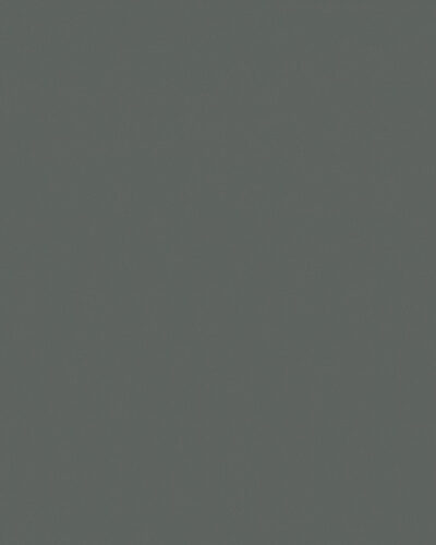 sal-84